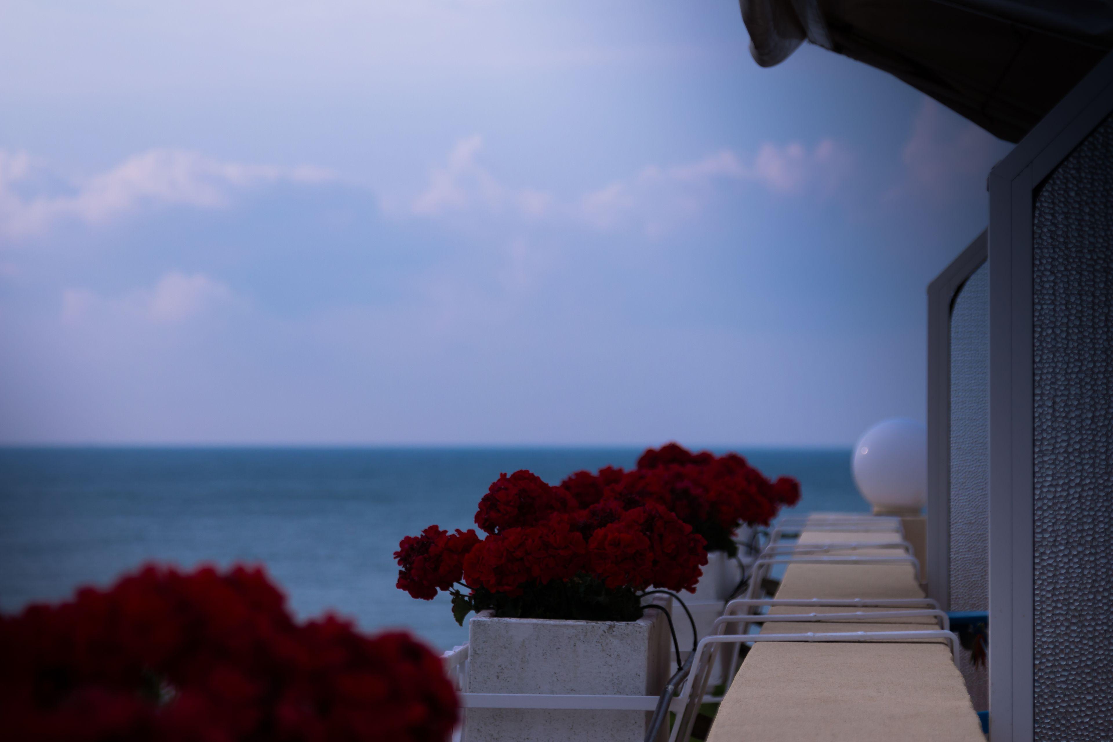 Hotel Vina Del Mar Pineta