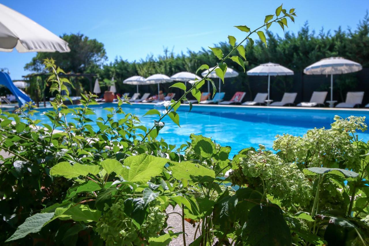 Vina Del Mar Pineta 4*