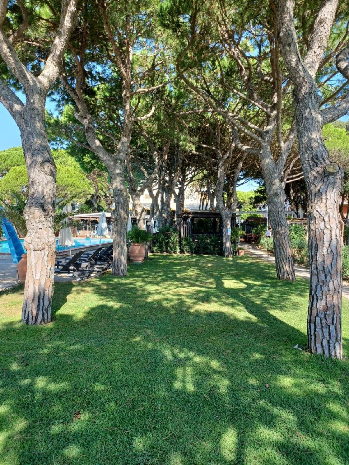 Vina Del Mar Pineta Hotel Lido di Jesolo