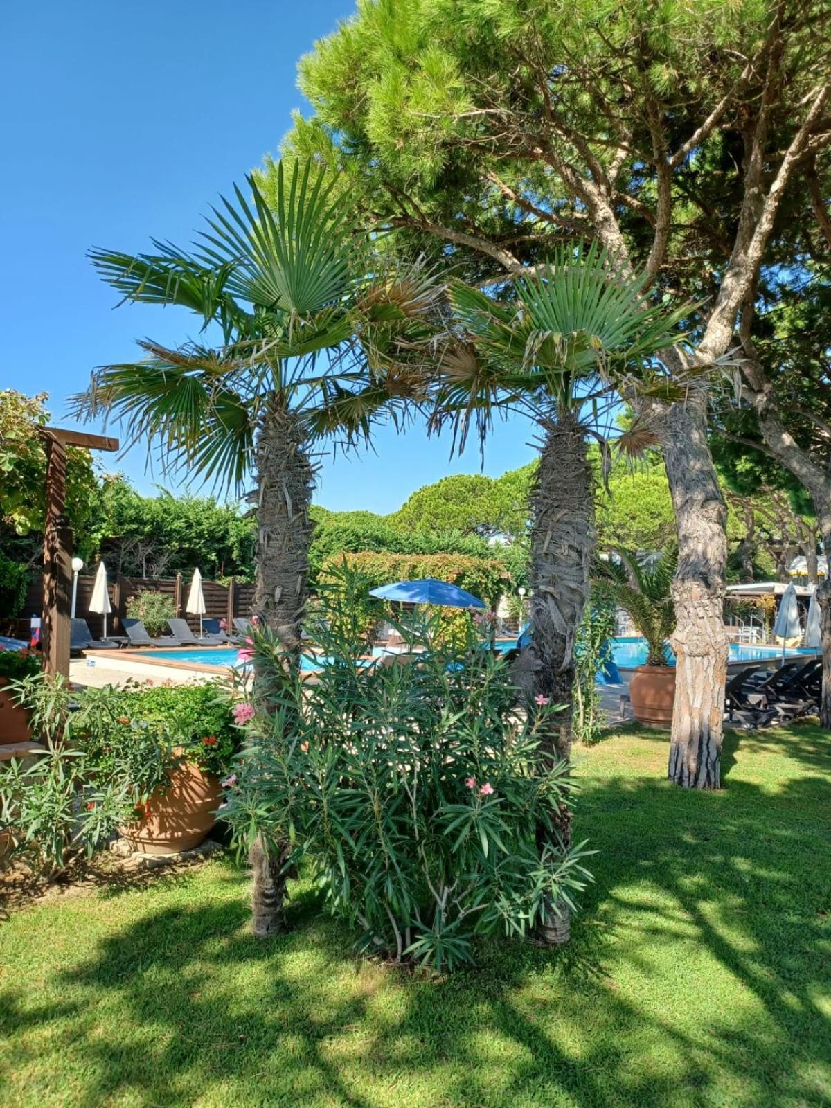 Vina Del Mar Pineta 4*