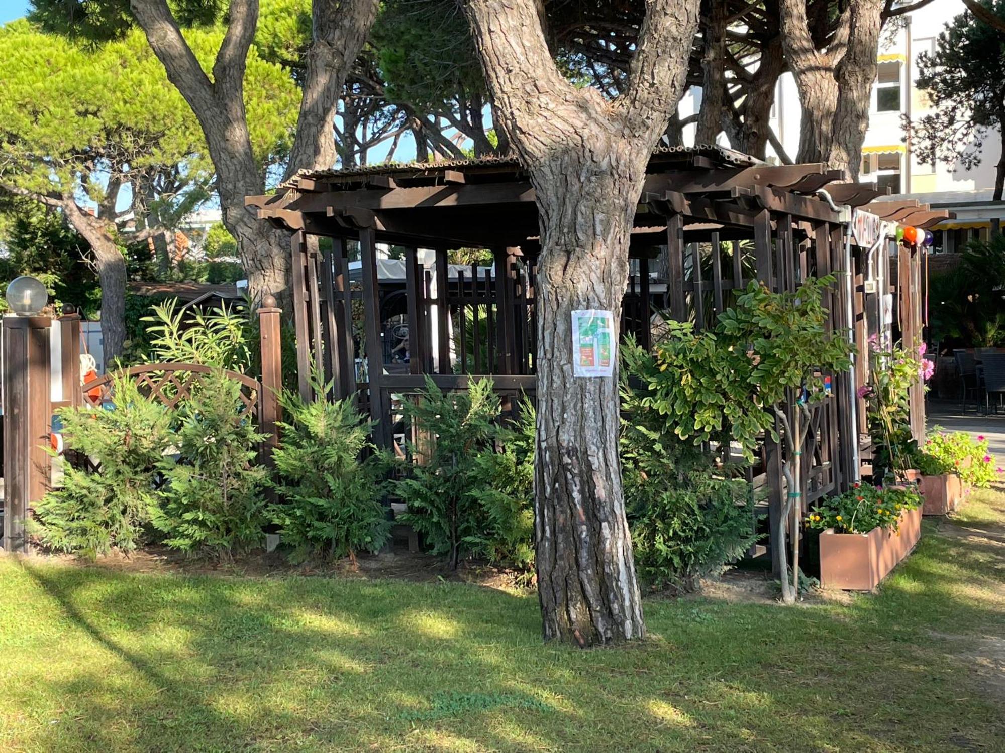 Vina Del Mar Pineta